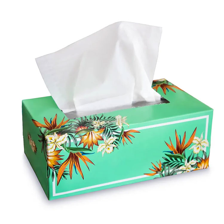 Facial Tissue In Paper Box